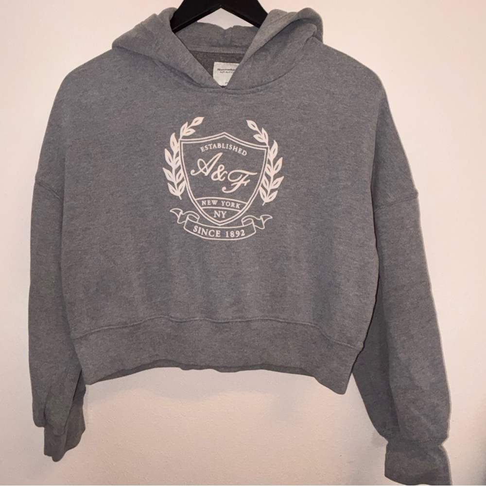 Abercrombie & Fitch Cropped Crest Hoodie Heather Gray Size M